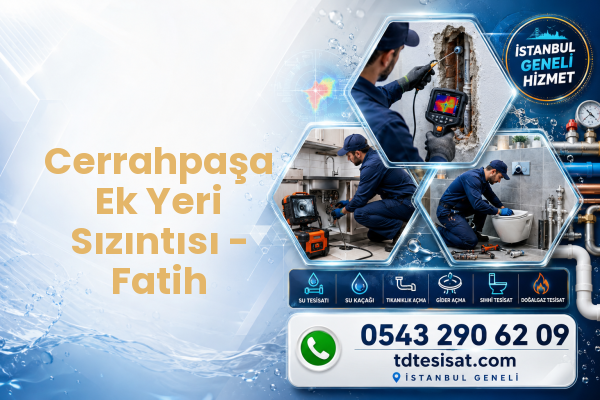 Ek Yeri Sızıntısı